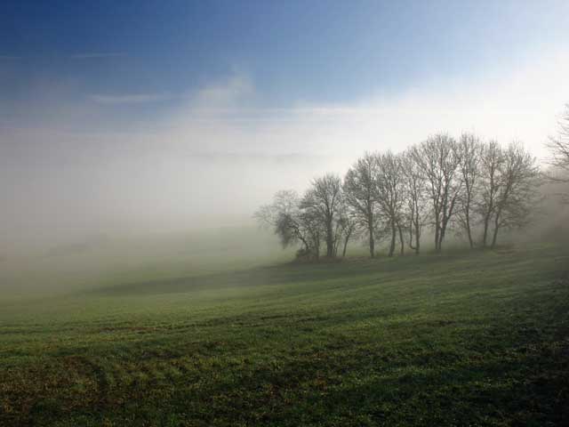 pic3